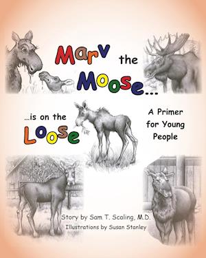 Marv the Moose is on the Loose