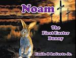 Noam-The First Easter Bunny 