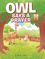 Owl Says a Prayer 