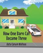 How One Barn Cat Became Three 
