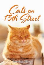 Cats on 13th Street 