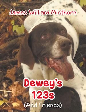 Dewey's 123s