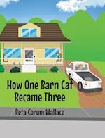 How One Barn Cat Became Three 