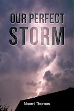 Our Perfect Storm 