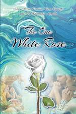 One White Rose