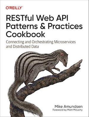 RESTful Web API Patterns and Practices Cookbook