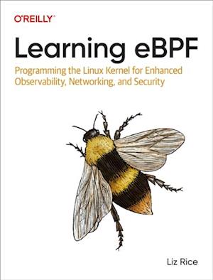 Learning eBPF