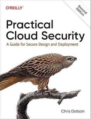 Practical Cloud Security