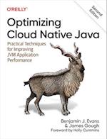 Optimizing Cloud Native Java