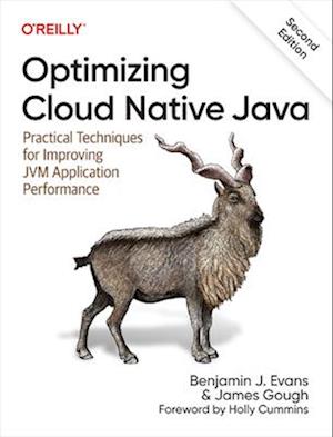 Optimizing Cloud Native Java