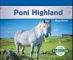 Poni Highland (Highland Ponies)