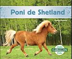 Poni de Shetland (Shetland Ponies)