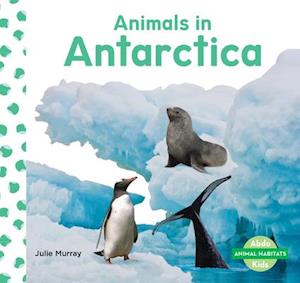 Animals in Antarctica