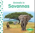 Animals in Savannas