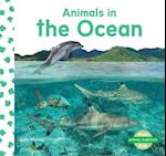 Animals in the Ocean