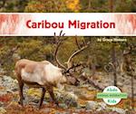 Caribou Migration