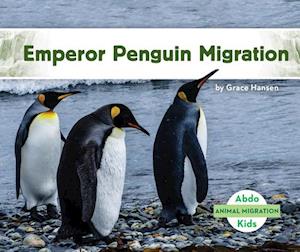 Emperor Penguin Migration