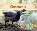 Gastornis