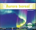 Aurora Boreal (Northern Lights)