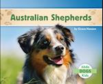 Australian Shepherds