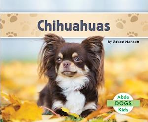 Chihuahuas