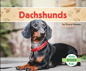 Dachshunds