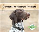 German Shorthaired Pointers