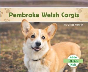 Pembroke Welsh Corgis