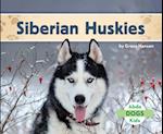 Siberian Huskies