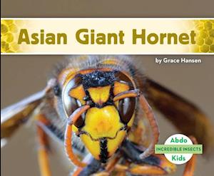 Asian Giant Hornet