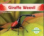 Giraffe Weevil