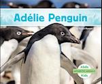 Adélie Penguin