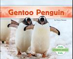 Gentoo Penguin