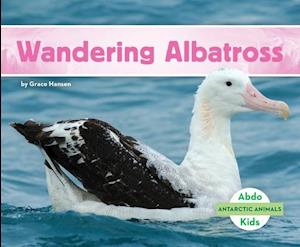 Wandering Albatross