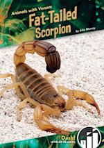 Fat-Tailed Scorpion