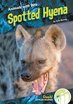 Spotted Hyena