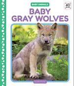 Baby Gray Wolves
