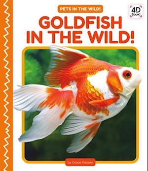 Goldfish in the Wild! (Set)