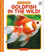 Goldfish in the Wild! (Set)