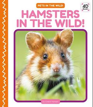 Hamsters in the Wild!