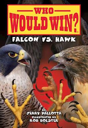 Falcon vs. Hawk