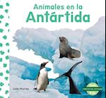 Animales En La Antártida (Animals in Antarctica)