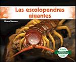 Las Escolopendras Gigantes (Giant Centipedes)
