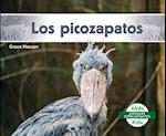 Los Picozapatos (Shoebills)