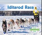 Iditarod Race