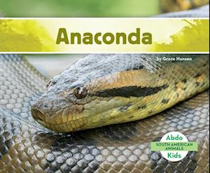 Anaconda