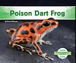 Poison Dart Frog