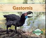 Gastornis (Gastornis)