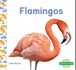 Flamingos