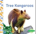 Tree Kangaroos